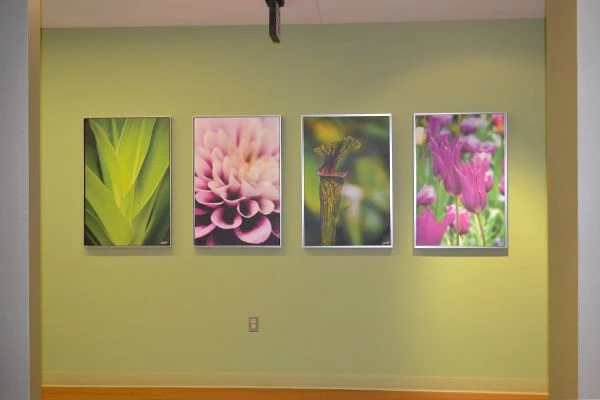  - Image360-Plymouth-CanvasArt&Signage-ProfessionalServices (2)